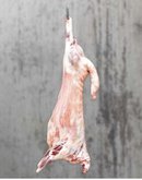 Dubai Slaughterhouse