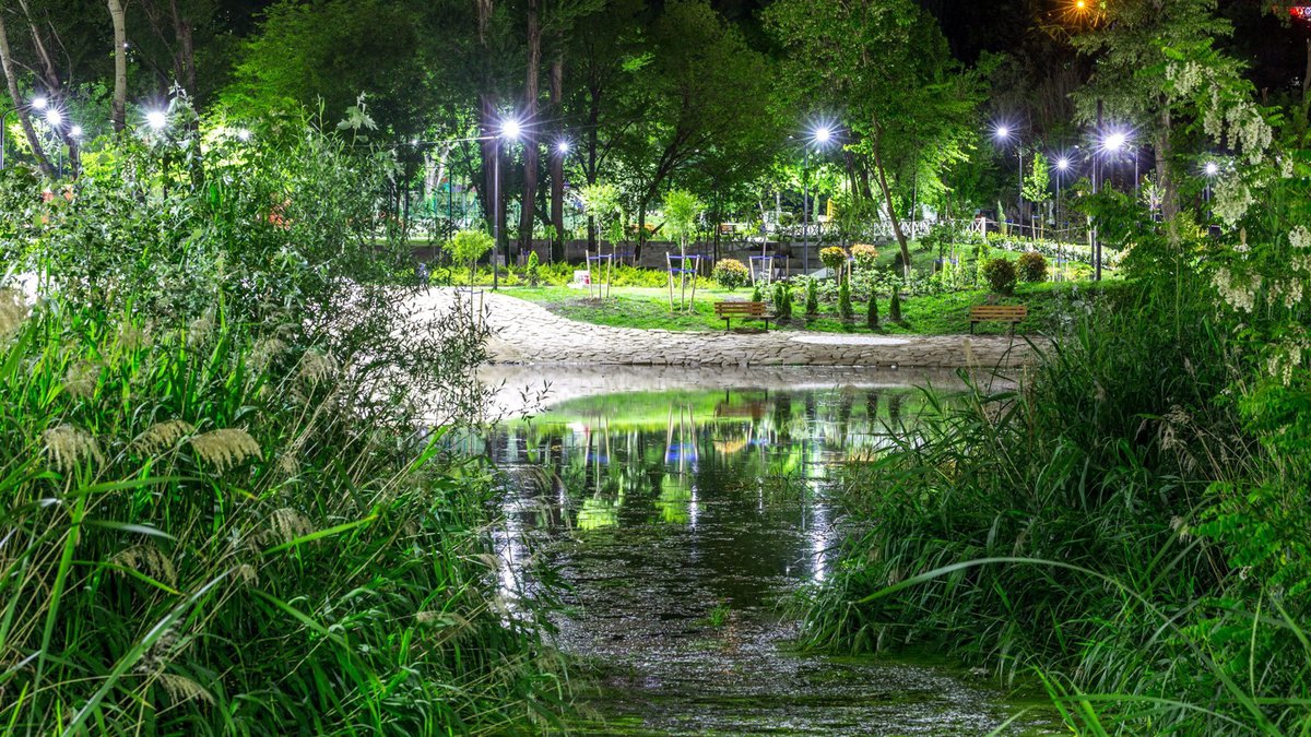 Парк Мзиури в Тбилиси