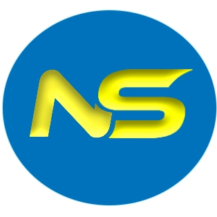 NS DENT_лого