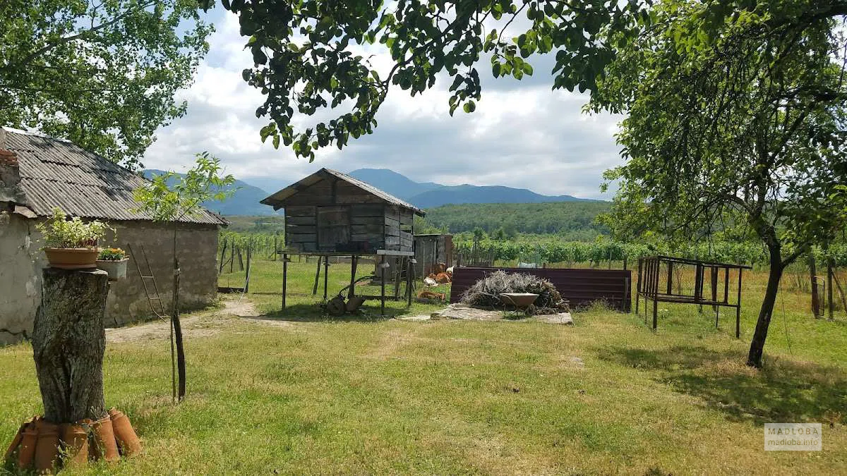 Винодельня Nadzveli Marani у подножия холмов Имеретии