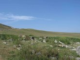 Наэклесиари насопларя Эрани