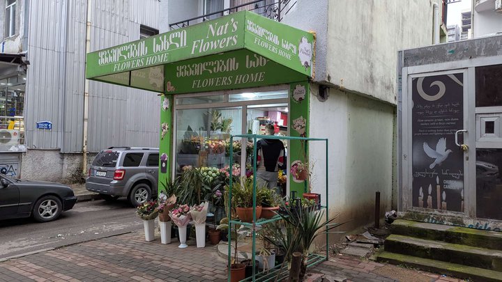 ნატის ყვავილები