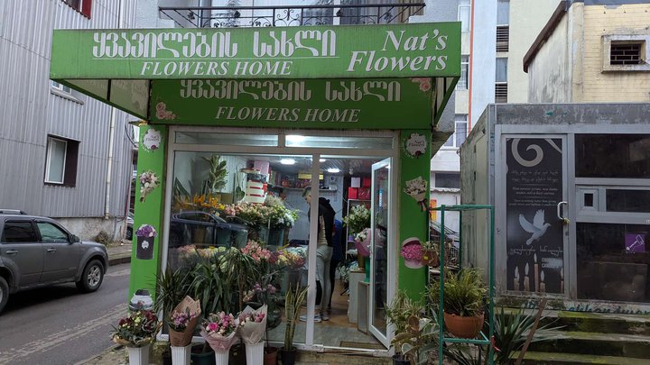 ნატის ყვავილები