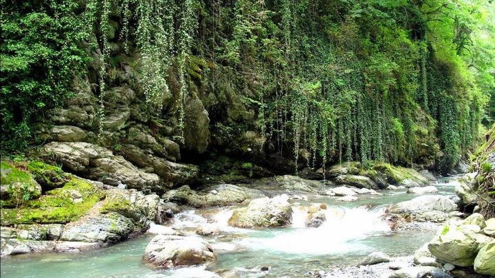 Yori, Korugi, Gardabani National Parks