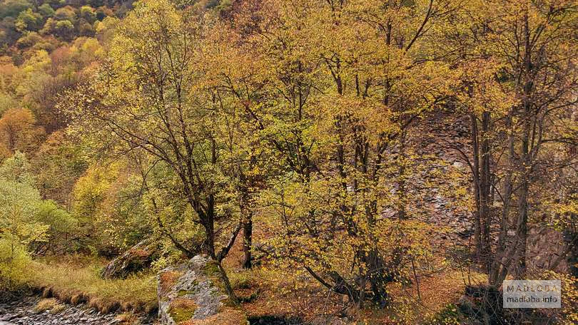 Осенний пейзаж в Национальном парке Пшав-Хевсурети