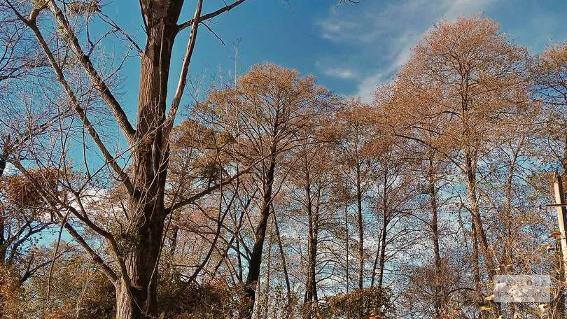 Осенний пейзаж в Национальном парке Бабанеури