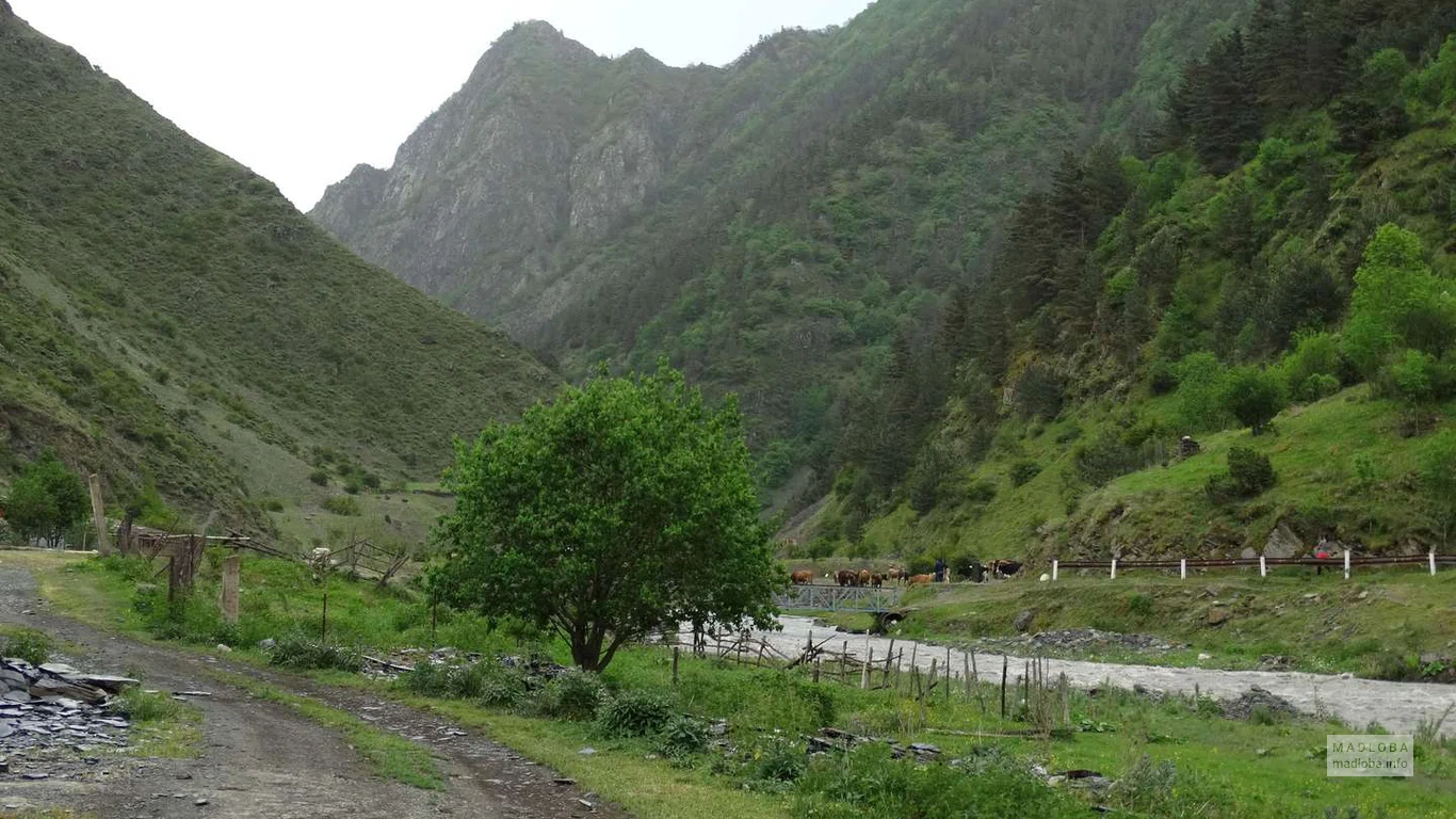 Дорога вдоль реки в Национальном парке Пшав-Хевсурети