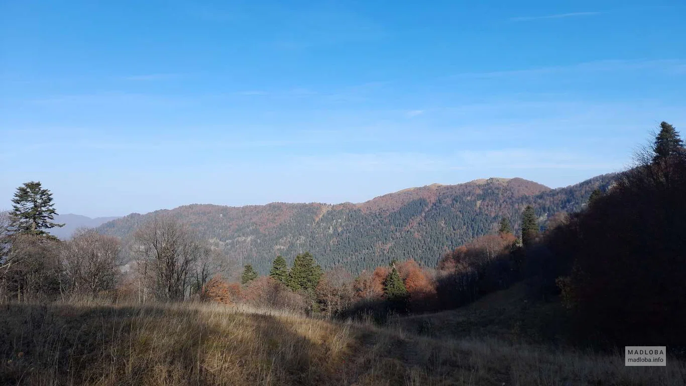 Осенний пейзаж в Национальном парке Недзви