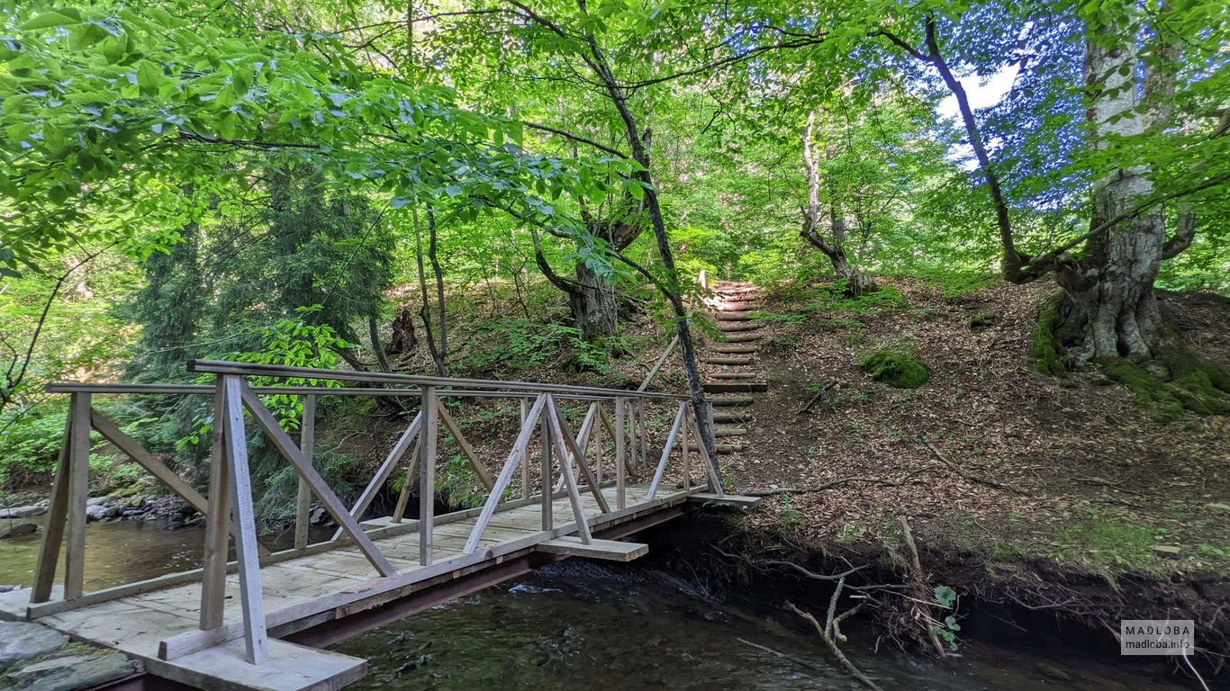 Мост через горную реку в Национальном парке Алгети