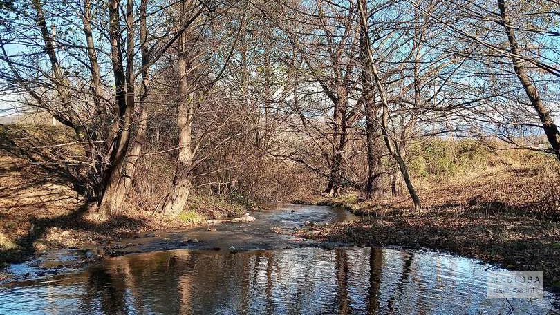 Водоём в Национальном парке Бабанеури