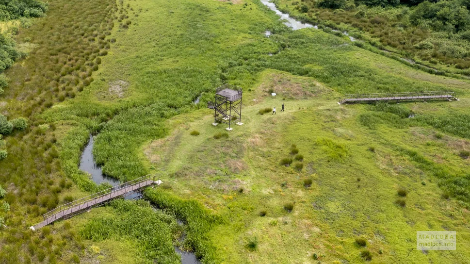 Вид сверху на смотровую площадку и помосты в Национальном парке Кобулети