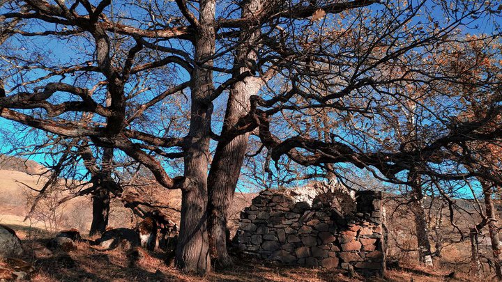 Национальный парк Алгети-Квемо-Картли-010.jpg