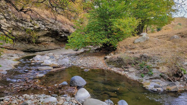 Algeti National Park