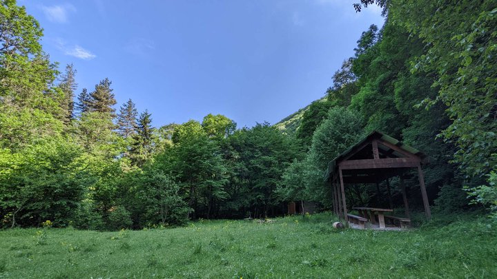 Национальный парк Алгети-Квемо-Картли-011.jpg