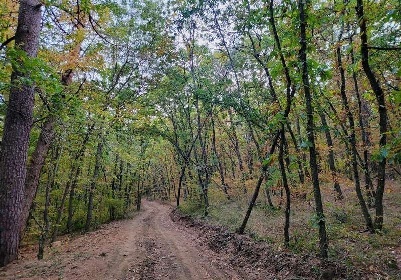 Algeti-Kvemo Kartli National Park-014