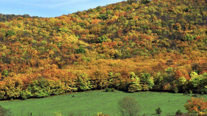 Babaneuri National Park