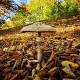 Национальный парк Бацари