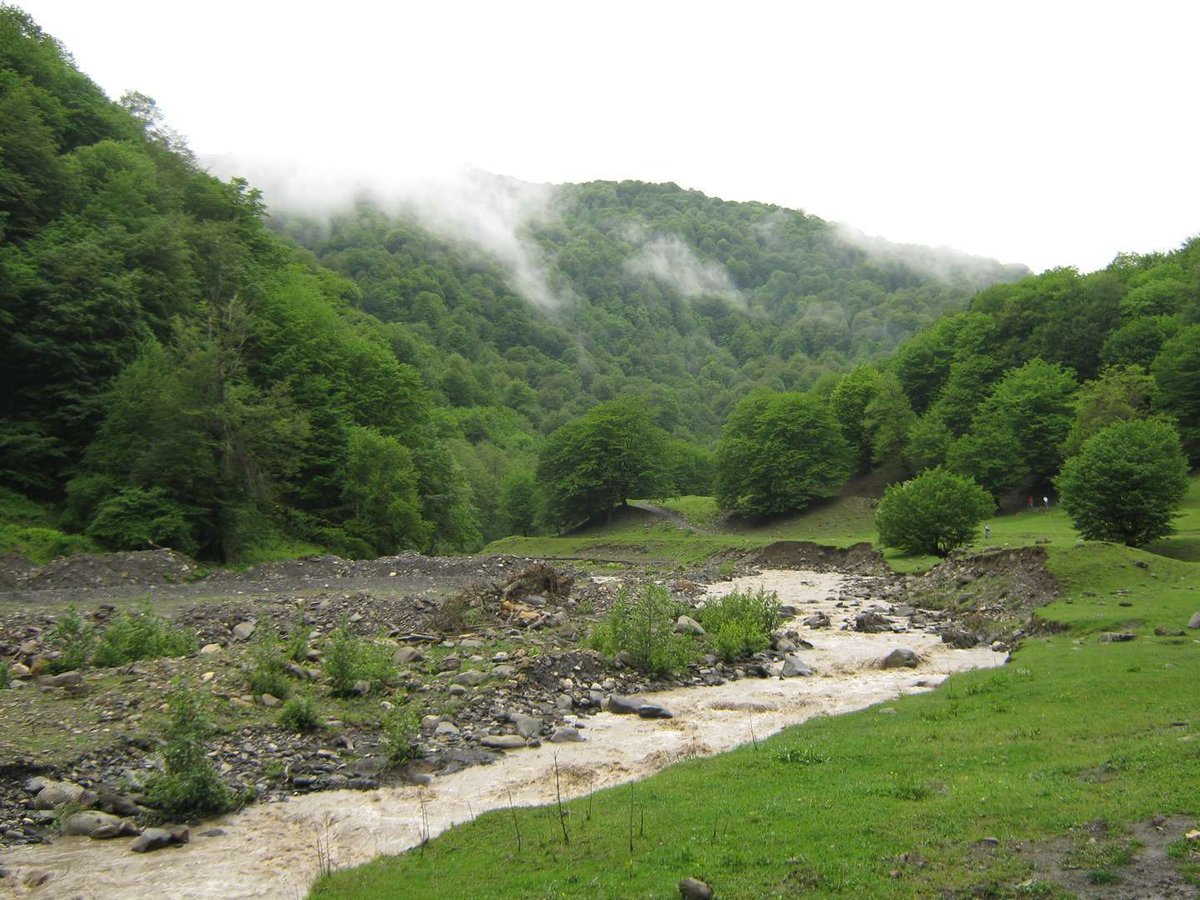 Национальный парк Бацари