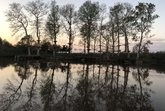 Kolkheti National Park