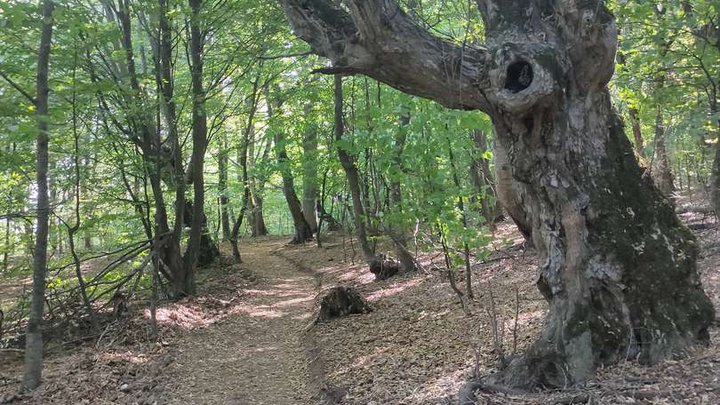 Национальный парк Мариамжвари