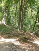 Национальный парк Мариамжвари