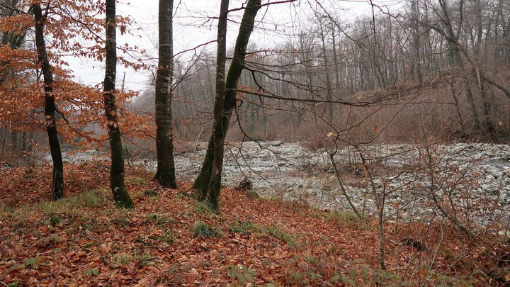 National Park in Lagodekhi