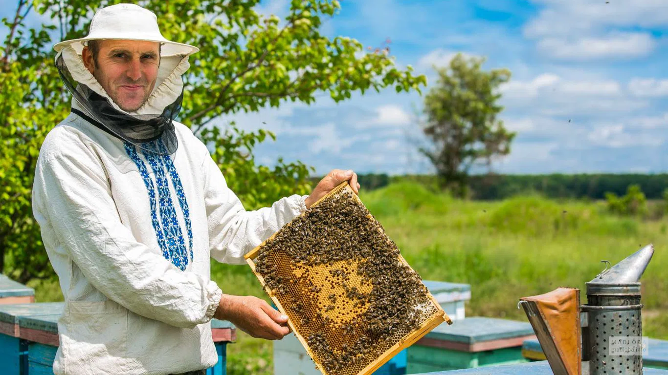 пасека Natural mountain honey