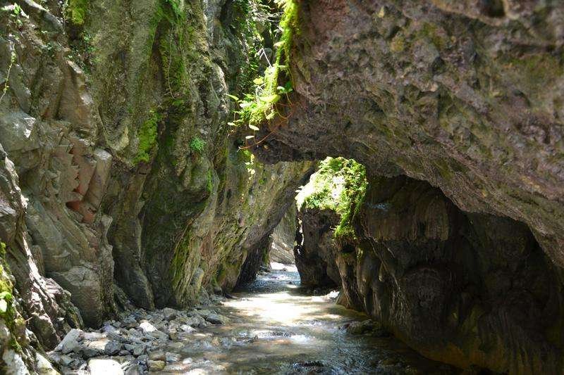 Nedzwi Park Gorge