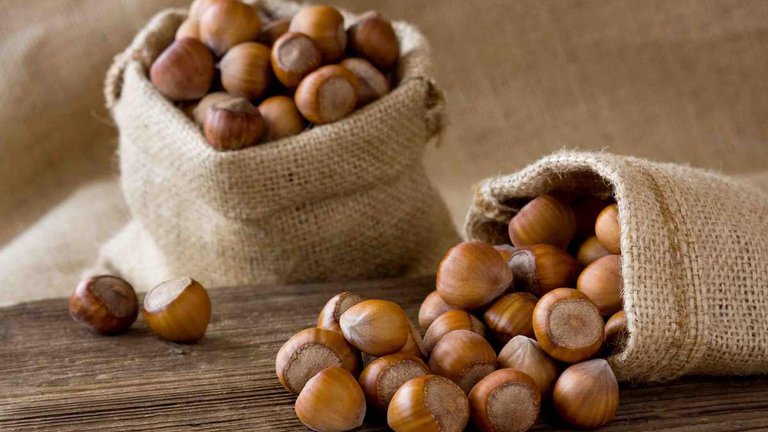 Georgia will continue to support hazelnut growers: a unique program for 20 million lari in 2024