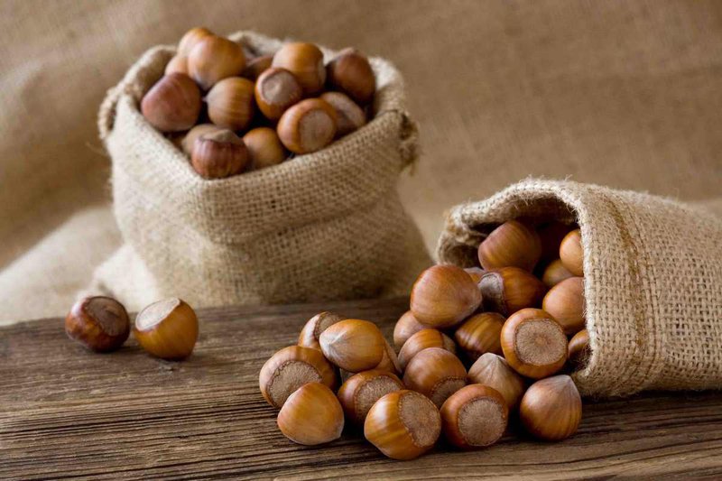 New Nut. Выращивание и торговля фундуком
