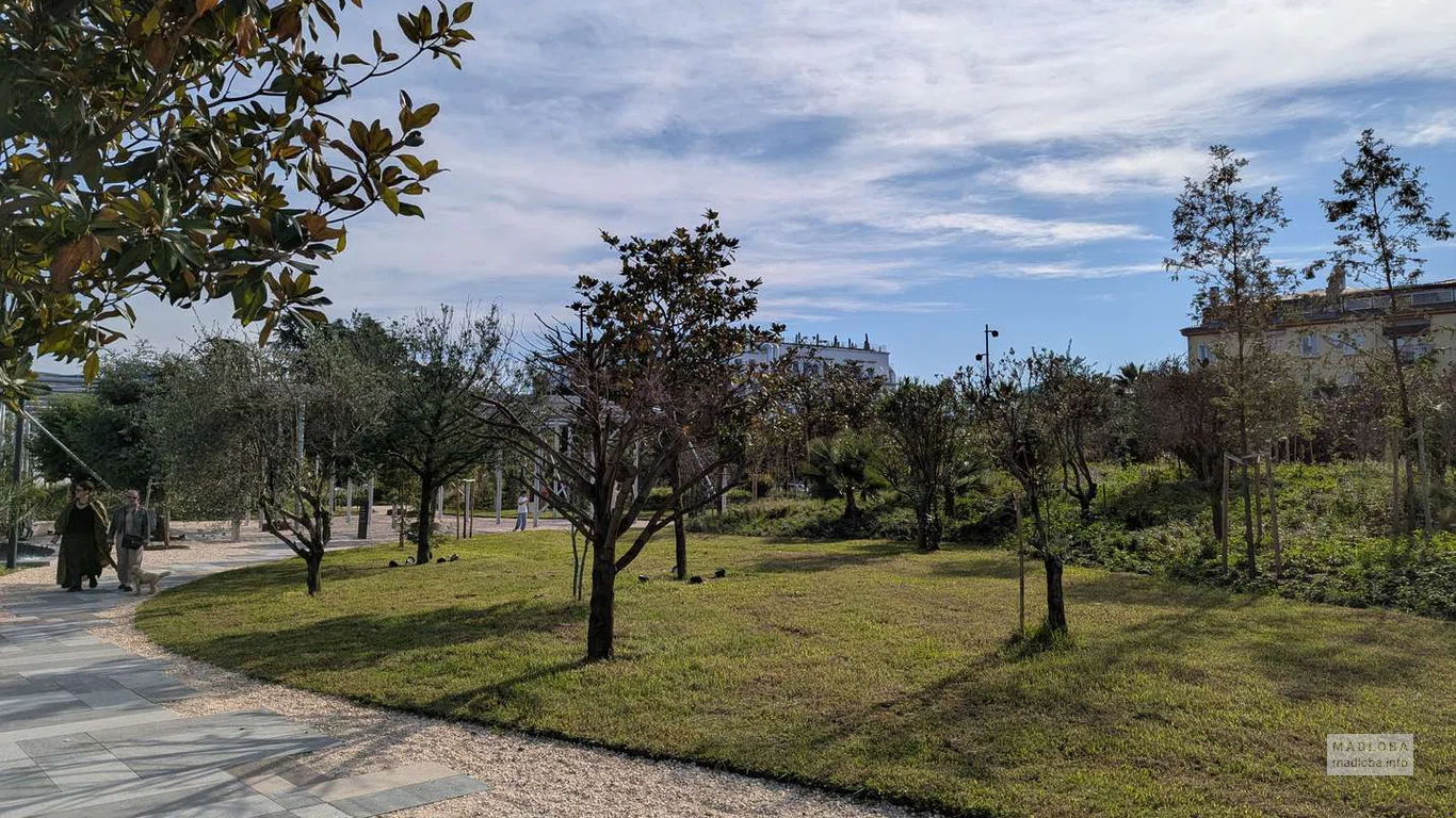 Просторная часть парка с аккуратно подстриженными деревьями — место для прогулок и отдыха в тишине.