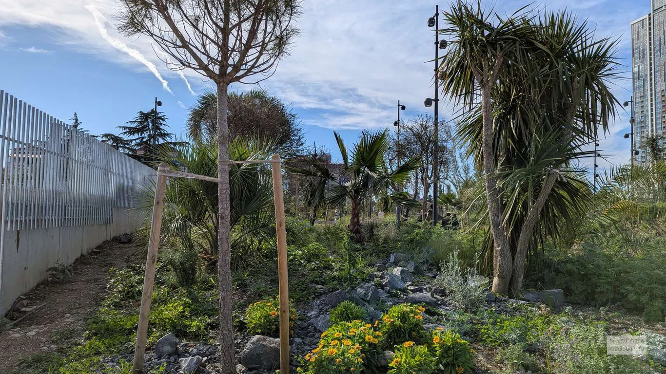 Высаженные вдоль забора пальмы, юкки и цветущие кустарники создают почти тропическую атмосферу