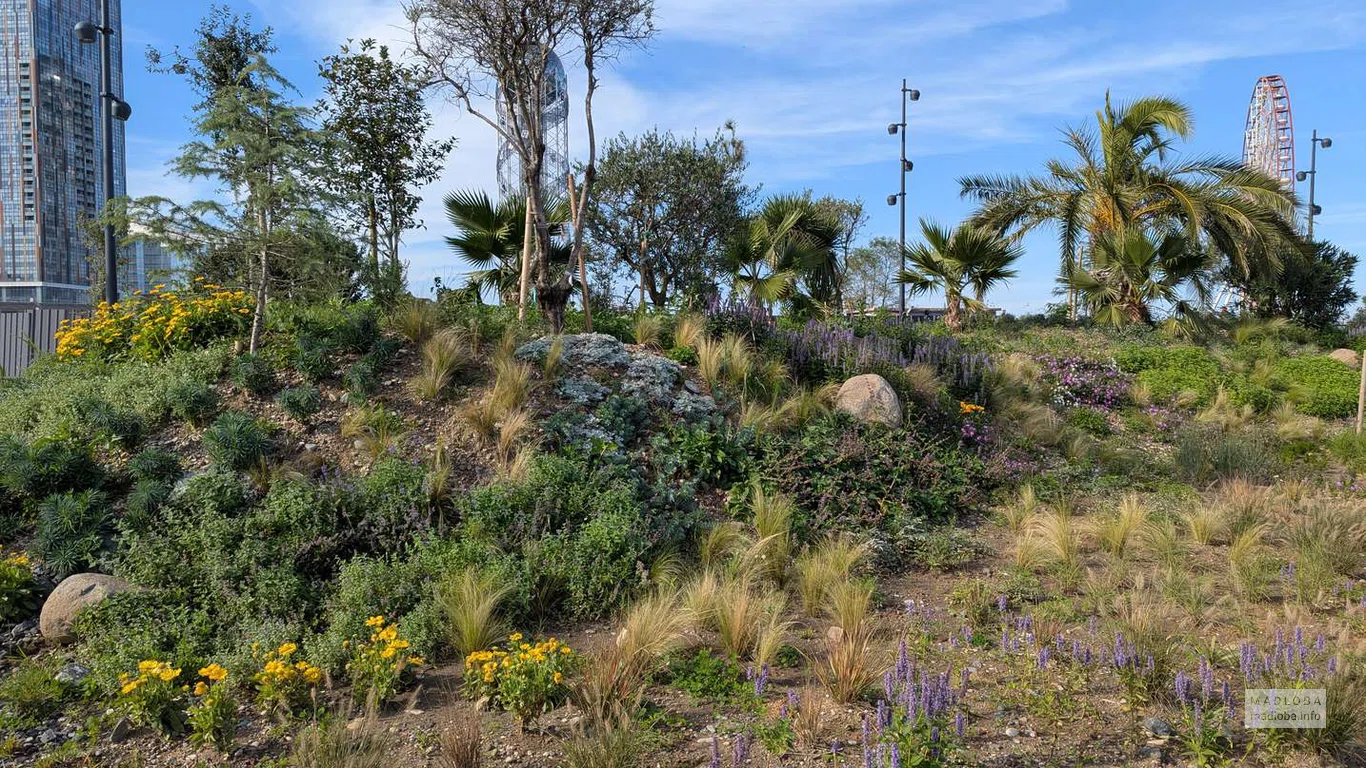 Разнообразие цветов и декоративных трав делает ландшафт ярким и живым — от зелени до сиреневых акцентов.