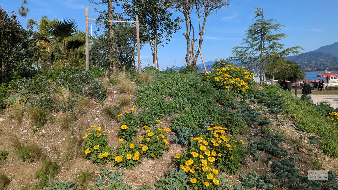 Зелёная насыпь, оформленная георгиновыми и полевыми растениями, открывает вид на море и горы.