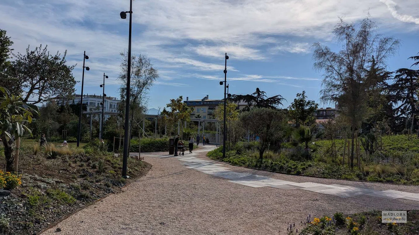 Плавная аллея, выложенная плиткой, соединяет разные зоны и создаёт ощущение лёгкости и простора.