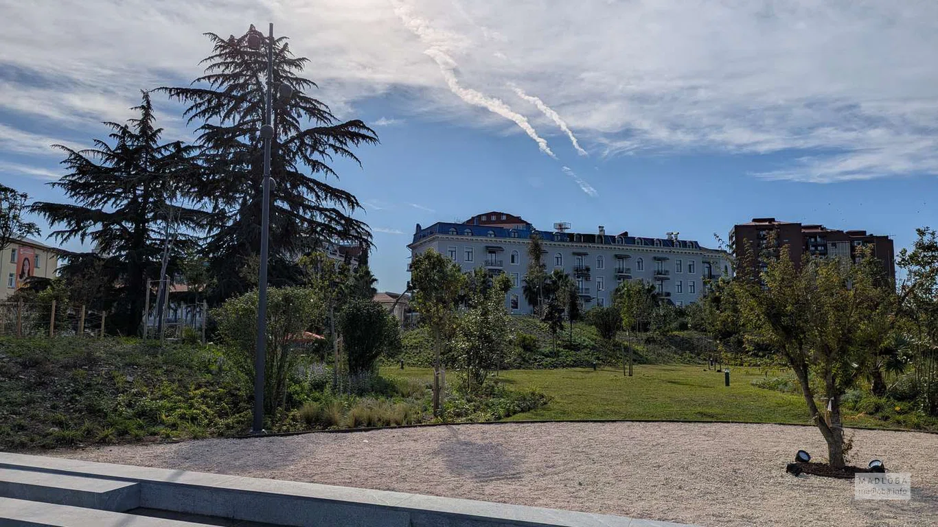 Спокойная часть парка с видом на жилые дома и пышные кедры. Здесь часто отдыхают семьи и прогулочные компании.