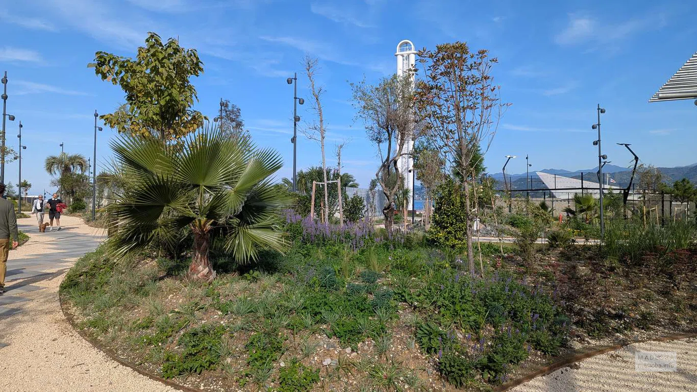 Пальмы и цветы окружают дорожку, ведущую к центру парка. Вдали виднеется белая башня — новый символ побережья.