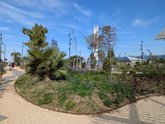 New Park