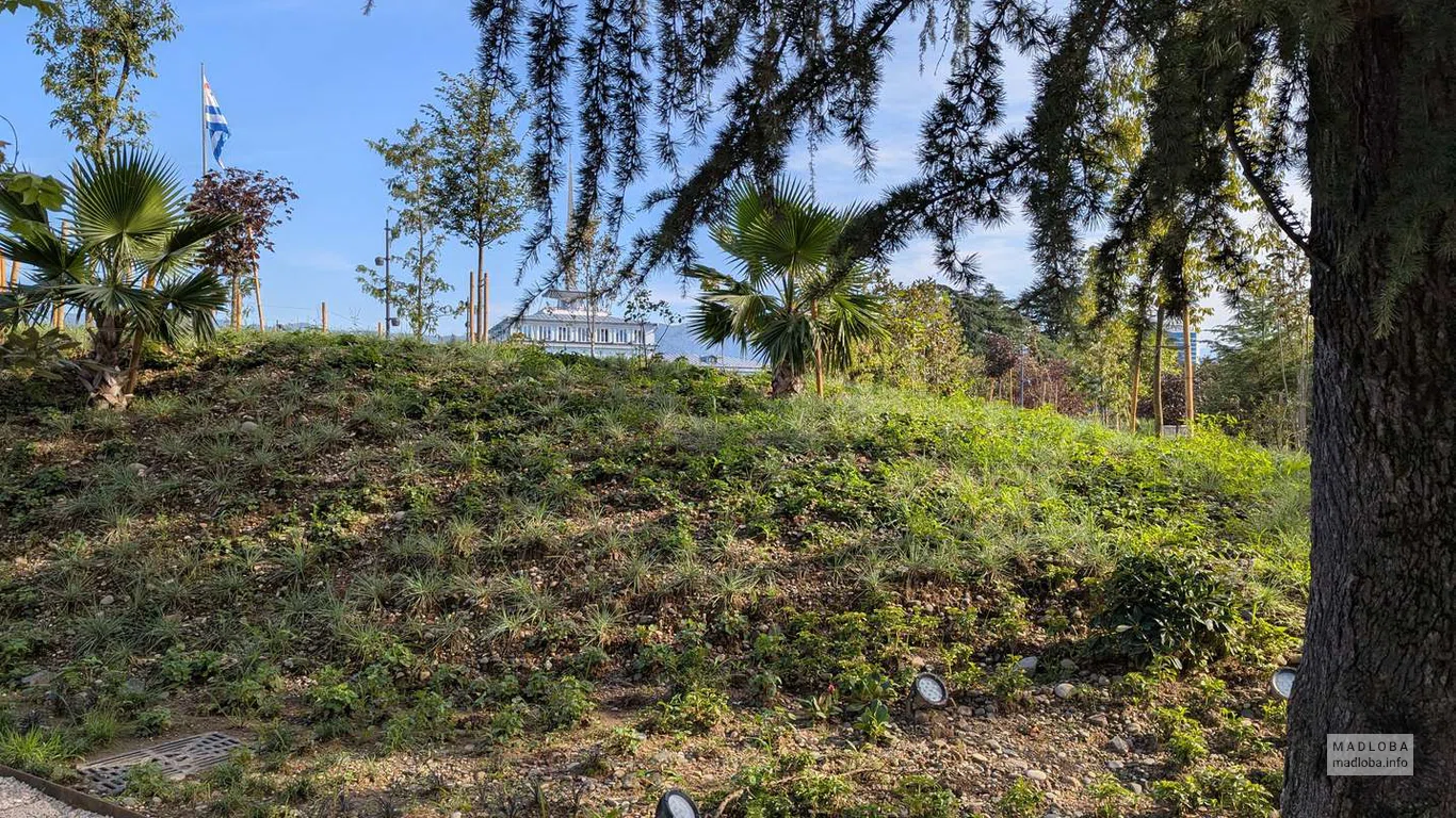 Пышная зелень и молодые растения создают естественный контраст с современными конструкциями и национальными флагами.