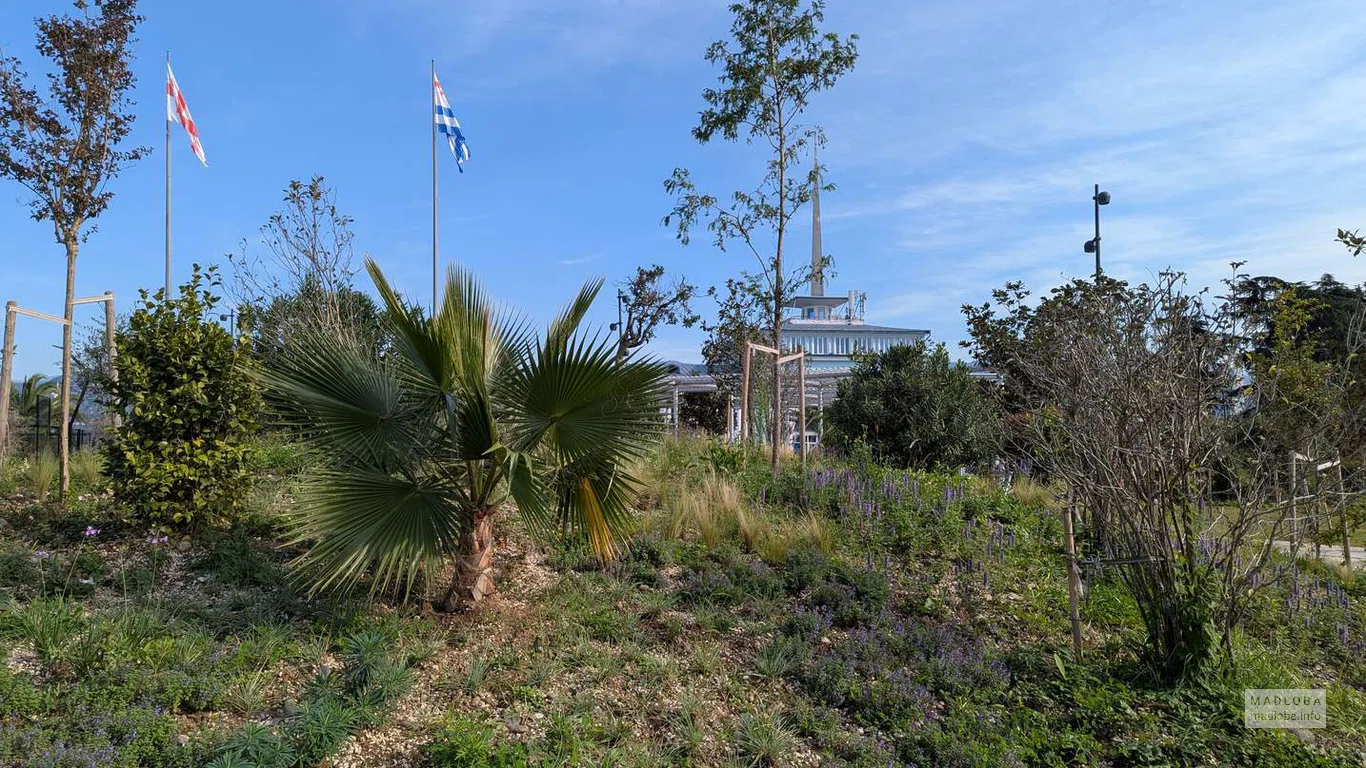 Яркая часть ландшафта с пальмами, цветущими травами и видом на морскую сторону Батуми.