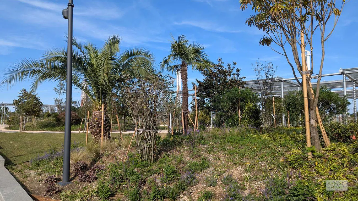 Новая зелёная зона с пальмами и декоративными растениями формирует природный баланс в центре города.