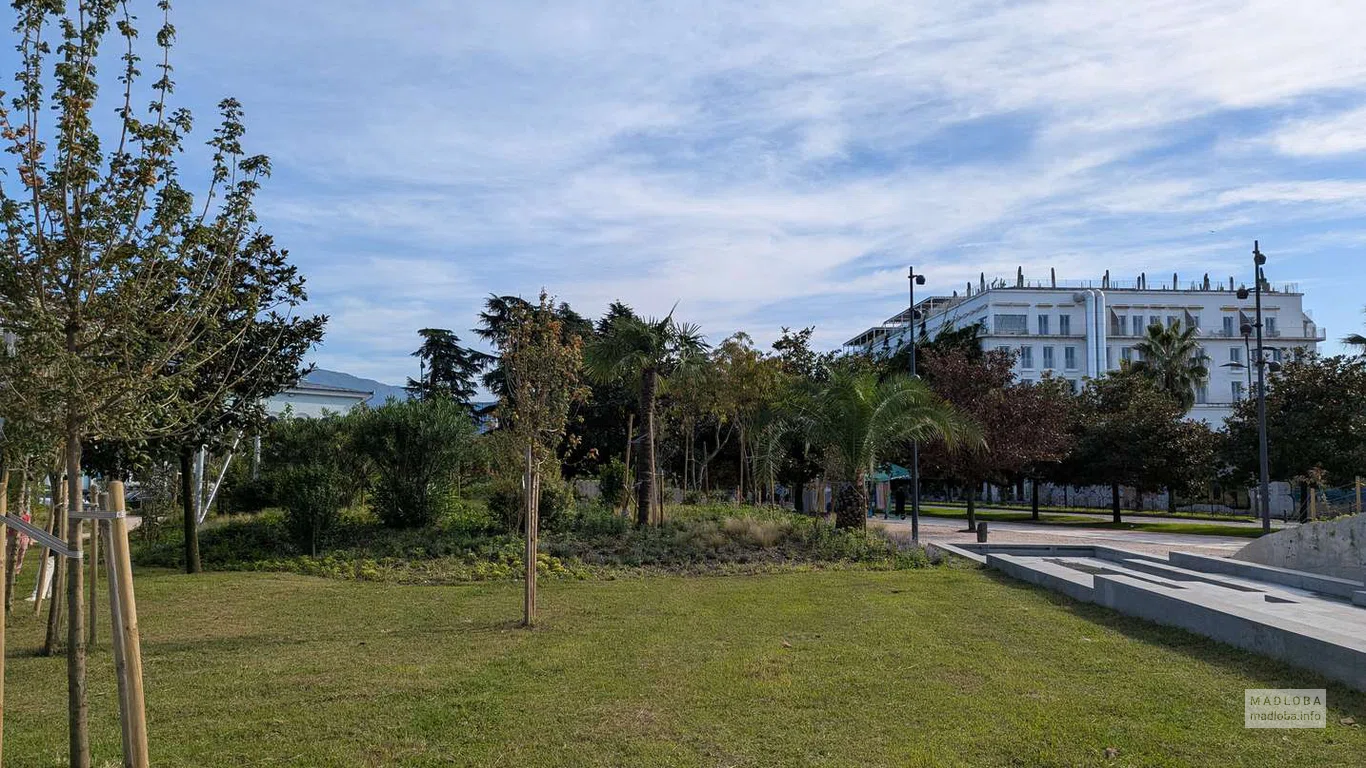 Открытая поляна с молодыми деревьями и видом на историческую застройку — идеальное место для прогулок и отдыха.