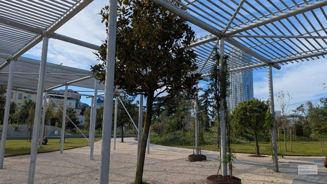 Открытая конструкция из металла соединяет природные зоны и прогулочные дорожки, добавляя динамики ландшафту.