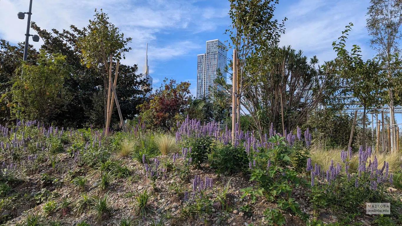 Сочетание фиолетовых цветущих растений и силуэтов башен делает пейзаж парка особенно живописным.