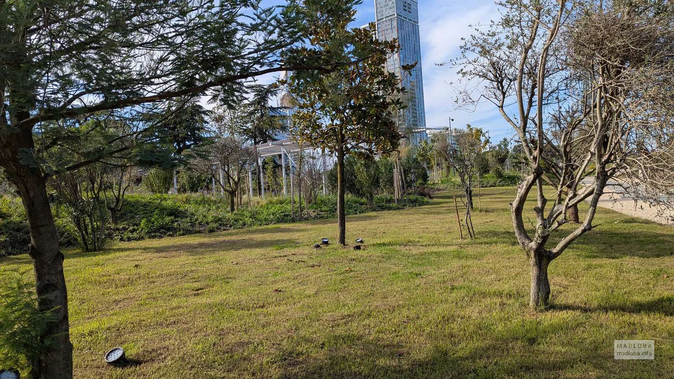 Уютная зелёная зона идеально подходит для спокойных прогулок и отдыха вдали от городского шума.