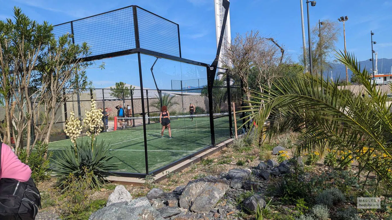 Площадка для игры в падел гармонично вписана в ландшафт, окружена растениями и пальмами.