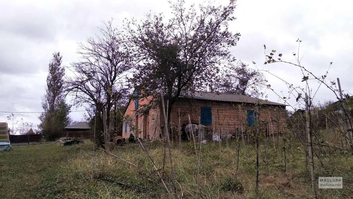 Семейная винодельня Nikoladzeebi в селе Нахширгеле, Имерети