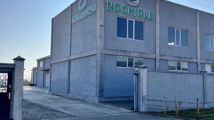 Nochiole