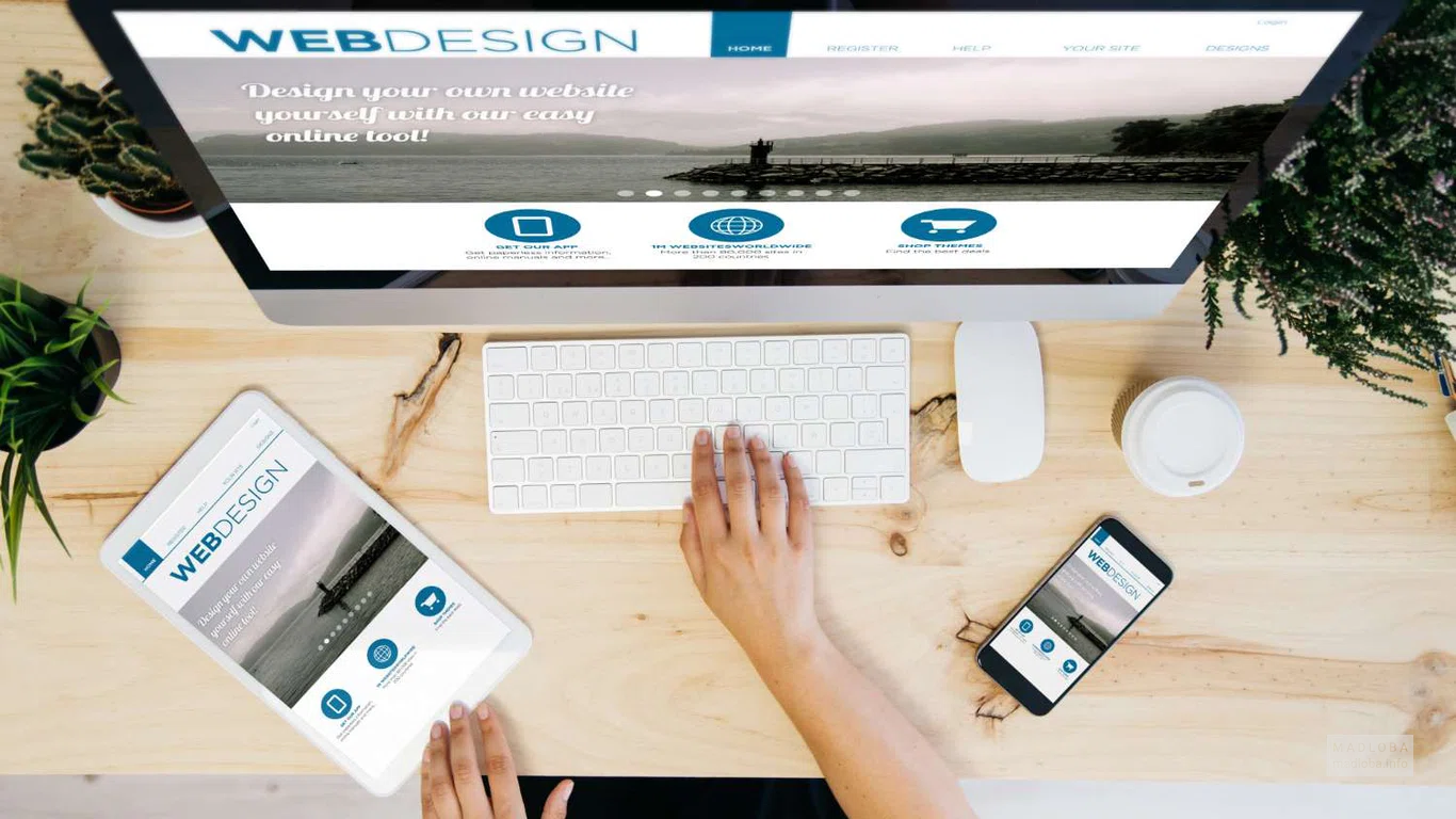 Novalogtech — разработка сайтов, CRM и SEO в Батуми