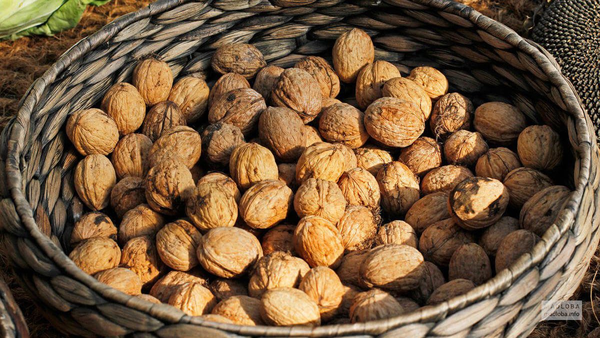 Грецкие орехи в Грузии